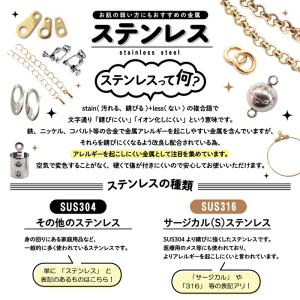 サージカルステンレス 316【 マグネット ク...の詳細画像5