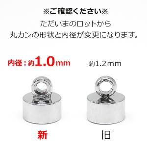 サージカルステンレス 316【 マグネット ク...の詳細画像1