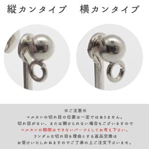サージカルステンレス (14) ネジバネ イヤ...の詳細画像3