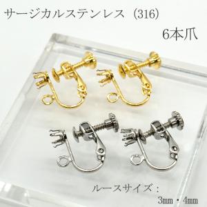イヤリング パーツ 2個 (1ペア) ネジバネ式 サージカルステンレス