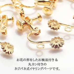 金属アレルギー対応 ステンレスイヤリング (1...の詳細画像1