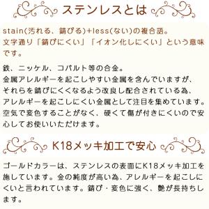 サージカルステンレス製 ピアス (115) カ...の詳細画像3
