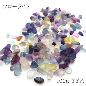 カラフル シェル さざれ石 穴あり 10g 天然石 貝 マリン パーツ