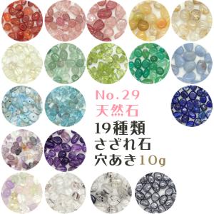 カラフル シェル さざれ石 穴あり 10g 天然石 貝 マリン パーツ