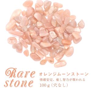 カラフル シェル さざれ石 穴あり 10g 天然石 貝 マリン パーツ