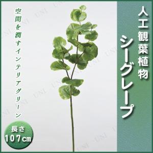 取寄品  人工観葉植物 シーグレープ 107cm｜party-honpo