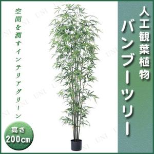 取寄品  人工観葉植物 バンブーツリー(ポット付) 200cm｜party-honpo