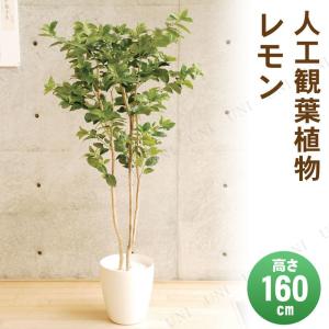 取寄品  フェイクグリーン 光触媒 レモン 160cm｜party-honpo