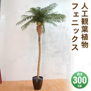 取寄品  フェイクグリーン 光触媒 フェニックス 300cm｜party-honpo