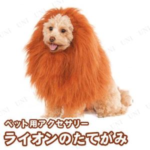 【替え網1枚付】 伸縮式超ロングピンポイントネット500cm 超なが!スーパーロングピンポイントネット エーワン 虫取り網 昆虫採集