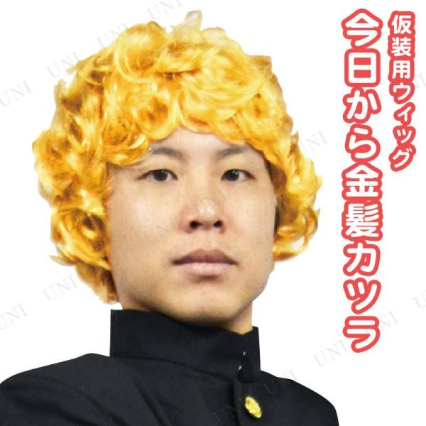 コスプレ 仮装 衣装 ハロウィン パーティーグッズ かぶりもの ウィッグ かつら プチ仮装 変装グッ...