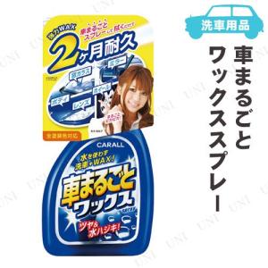 カーオール 車まるごとワックススプレー 500mL