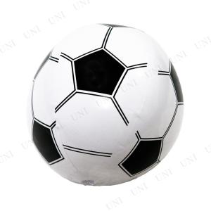 ビーチボール 40cm サッカーボール
