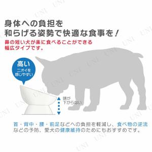 短頭犬用食器 ミント 犬用品 餌やり 水やり用...の詳細画像3