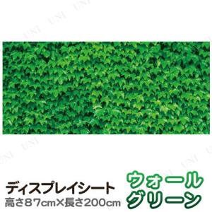 取寄品  2点セット 200×87cm ディスプレイシート ウォールグリーン｜party-honpo