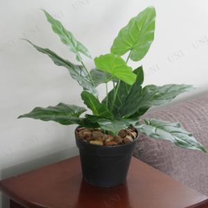 2点セット 人工観葉植物 ビロードカズラ 45cm｜party-honpo