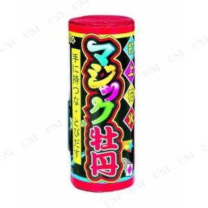 10点セット 打ち上げ花火 マジック牡丹