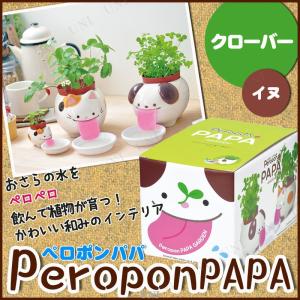 きっとみつかる四つ葉のクローバー栽培セット 聖新陶芸 草花 ハート型