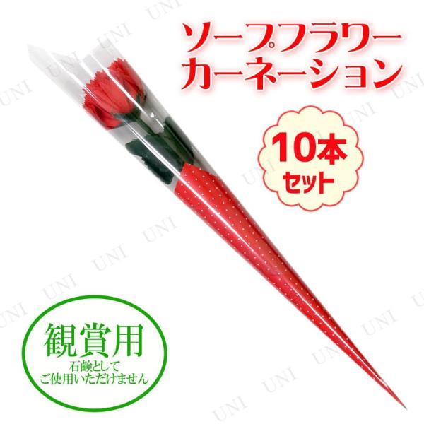 カーネーション 母の日 母の日カーネーション