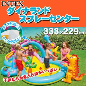 INTEX(インテックス) ダイナランドスプレー...の商品画像