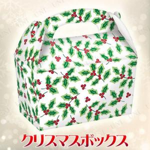 アムスキャン amscan テーブルウェア ラージゲイブルボックスカードボード ホリー 5枚入 PG396605