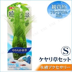 水槽 水草 種類の商品一覧 通販 Yahoo ショッピング