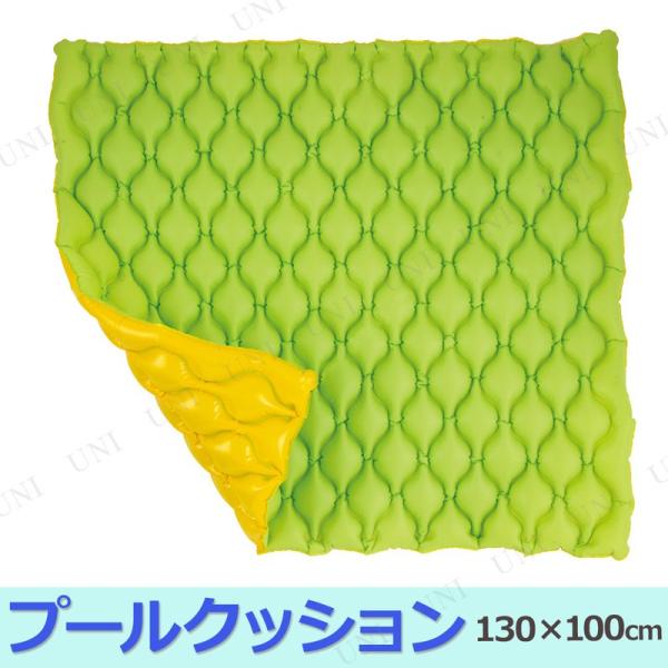 プールクッション 130×100cm