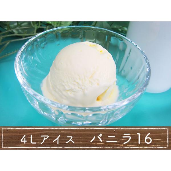 業務用アイスクリーム　バニラ16アイスクリーム　4リットル