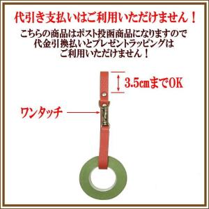 フローリスト シザーケース 花屋シザーケース ...の詳細画像1