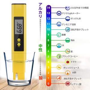 2本入り ペーハー測定器 PH測定器 TDS測...の詳細画像1