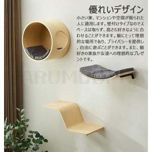キャットウォーク 壁掛け キャットタワー 有孔...の詳細画像2