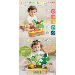 モンテッソーリおもちゃ 男の子 女の子 果物 ...の詳細画像1