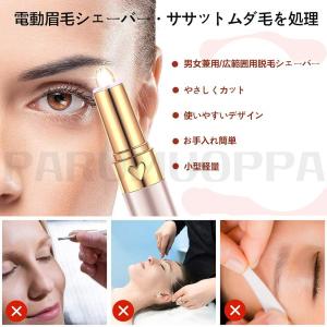 即納 USB充電式 眉毛シェーバー 鼻毛カッタ...の詳細画像4
