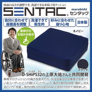 【メーカー直送・大感謝価格 】車椅子用クッション SENTAC センタック｜parusu