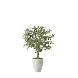 【直送品】ナチュラルフィカスツリー1.5 2424A590 W90×D80×H150cm 光触媒人工植物 光の楽園 2024｜parusu