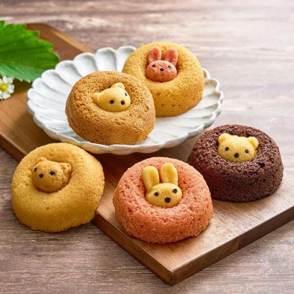 【直送品】フォレシピ ちいさな森のドーナツ 10個