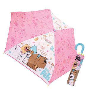 ear PAPILLONNER（イア パピヨネ） 日傘 長傘 日傘 折りたたみ傘 形状