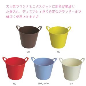 小物入れ ミニラウンドバスケット プランター ...の詳細画像2