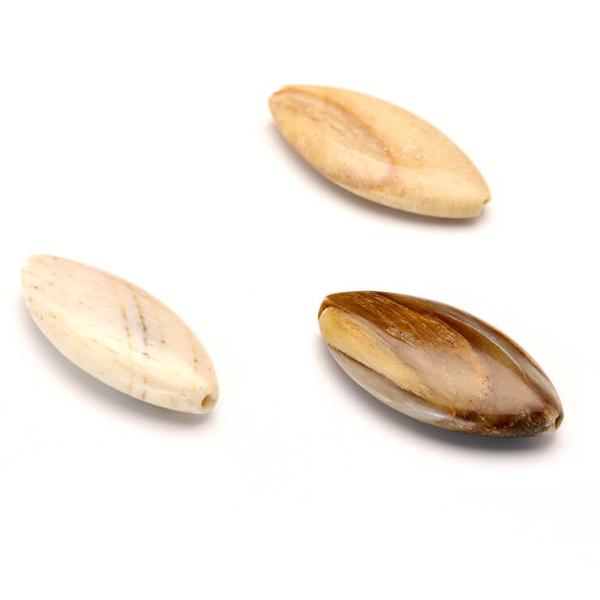 【粒売り/バラ売り】ペトリファイドウッド 8mm