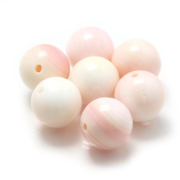 【粒売り/バラ売り】クイーンコンクシェル 8mm
