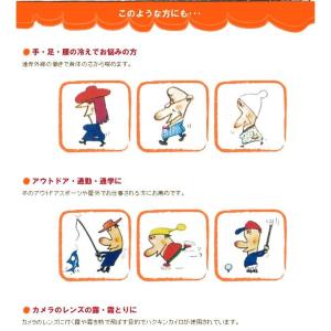 【当日発送】 ハクキンカイロ スタンダード 1...の詳細画像4