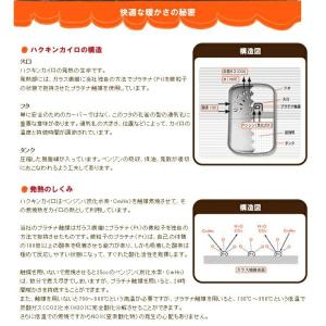 【当日発送】 ハクキンカイロ スタンダード 1...の詳細画像5