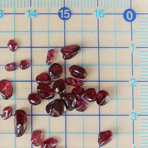 さざれ石 ガーネット AAA 極小粒 80g ...の詳細画像1