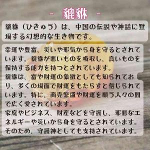 天然 琥珀 貔貅 ブラッド アンバー 1個 ひ...の詳細画像2