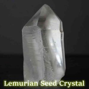 レムリアン シードクリスタル ブラジル トマスゴンサガ産 水晶