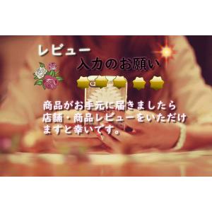 天然石 ジュエリー リバーシブルマット 30x...の詳細画像5