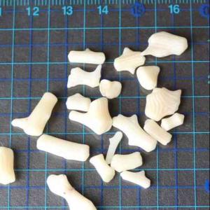 珊瑚 さざれ石 50g 浄化 インテリア 天然...の詳細画像3