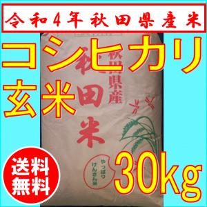 【令和4年産】コシヒカリ　30ｋｇ　玄米　秋田県産　1等米　お米　精米可　送料無料