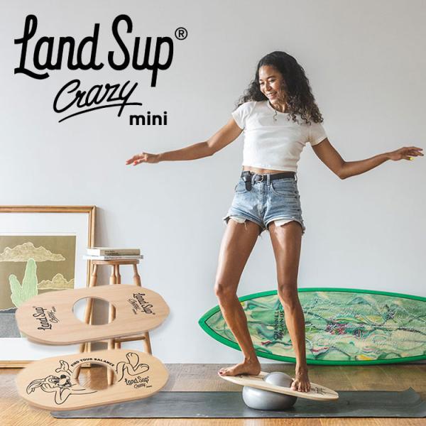 バランスボード LandSup Crazy mini ランドサップ クレイジーミニ 全2種