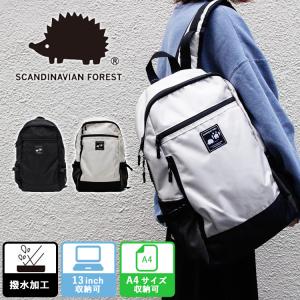 選べる特典付 スカンジナビアンフォレスト アクテ...の商品画像